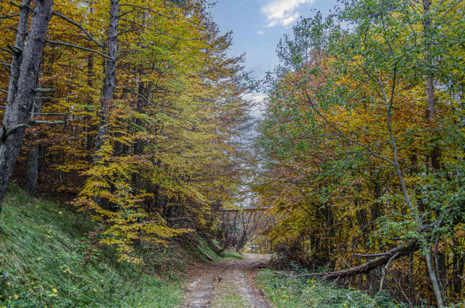 Comunidad Foral de Navarra 019 - valle de Salazar.jpg